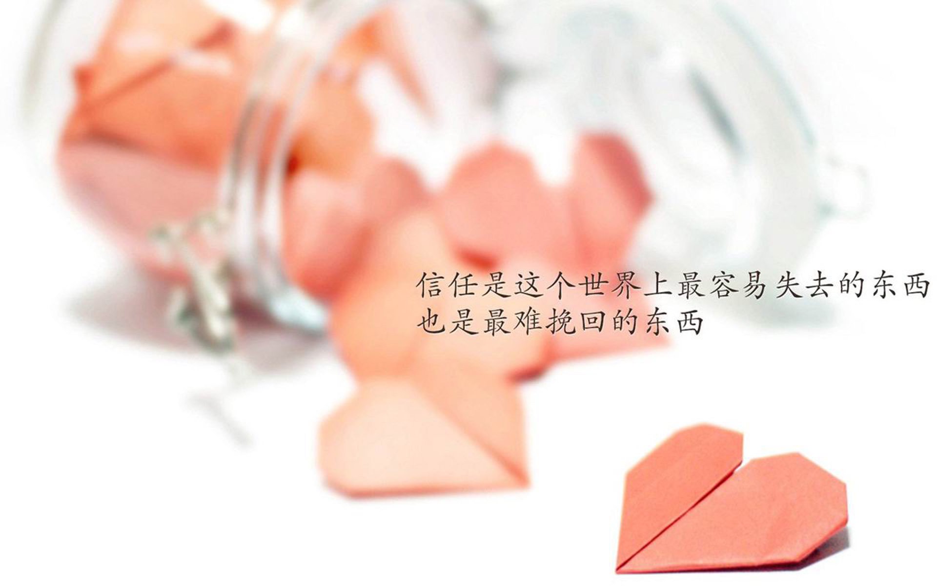 牡丹江市菜园街位置(牡丹江菜库搬到哪里了)