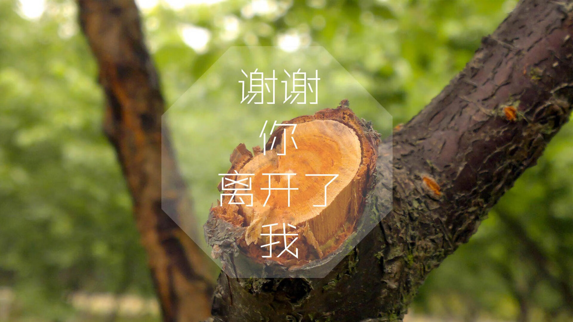 牡丹江市快递停运了吗（牡丹江快递什么时候恢复）