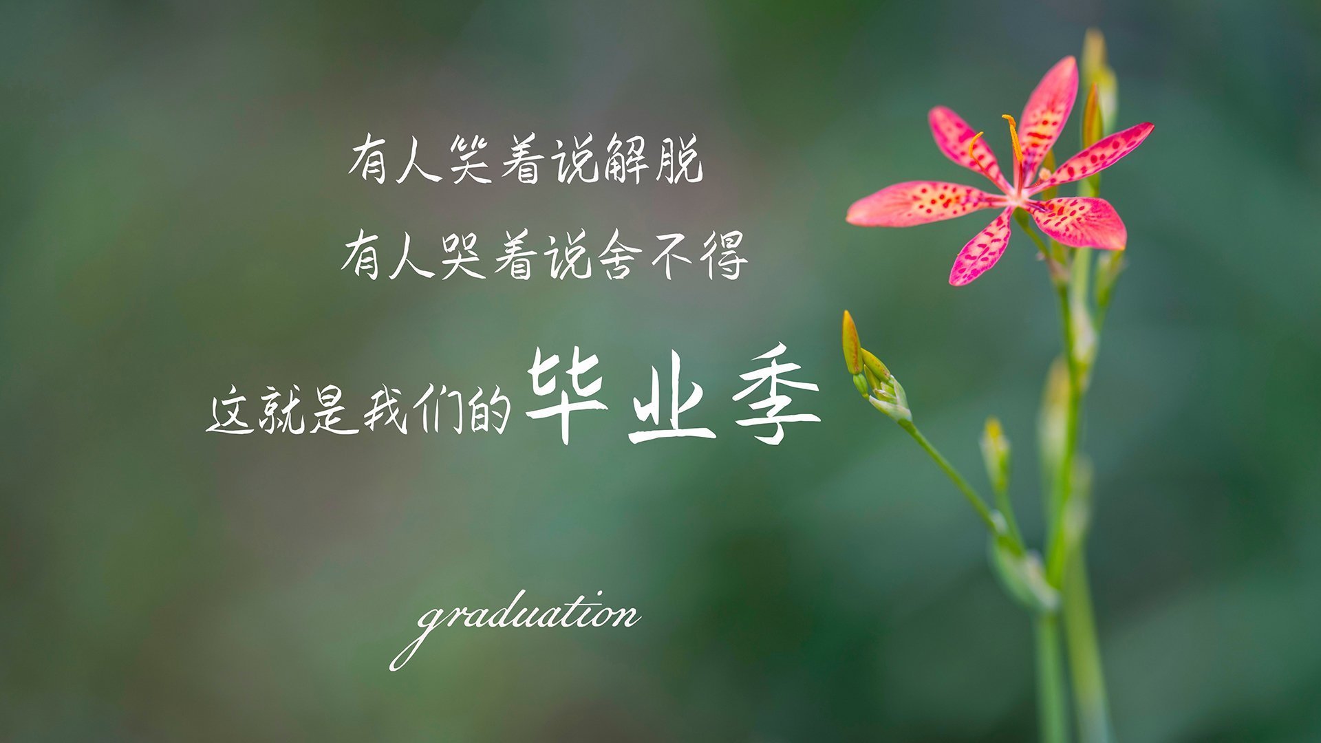 牡丹江好吃的餐厅推荐（牡丹江好一点的餐厅）